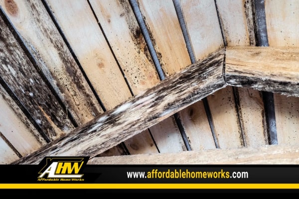 5 Warning Signs Of Attic Mold That Every Homeowner Should Know