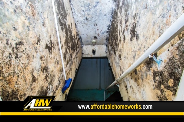 The 411 On Basement Mold What It Is How To Prevent It And What To Do If You Find It