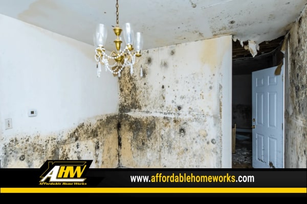 The Dangers Of Mold And Why You Should Remove It Immediately