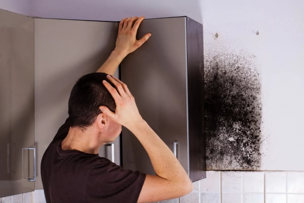 Top 5 Reasons For Mold Growth In Your Home