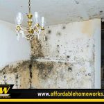What Homeowners Should Know About Mold Remediation Thumb