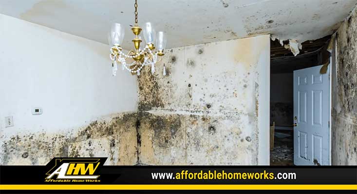 What Homeowners Should Know About Mold Remediation Thumb